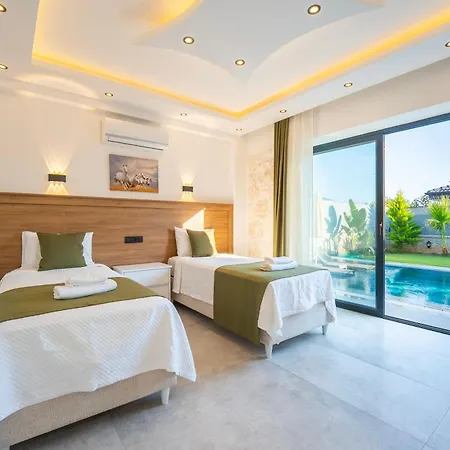 Baran Villa *